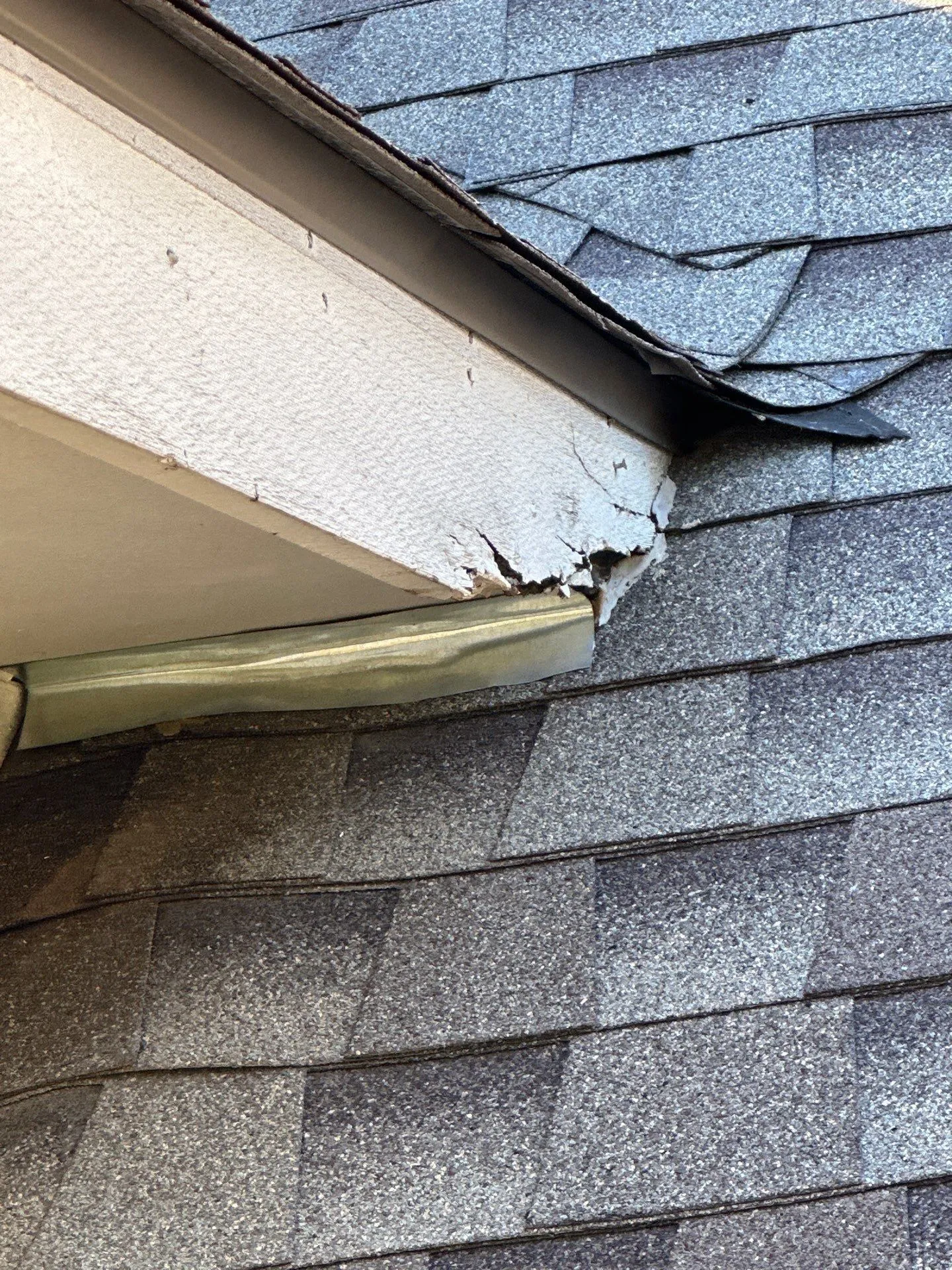 Rodent damage repair in Georgetown