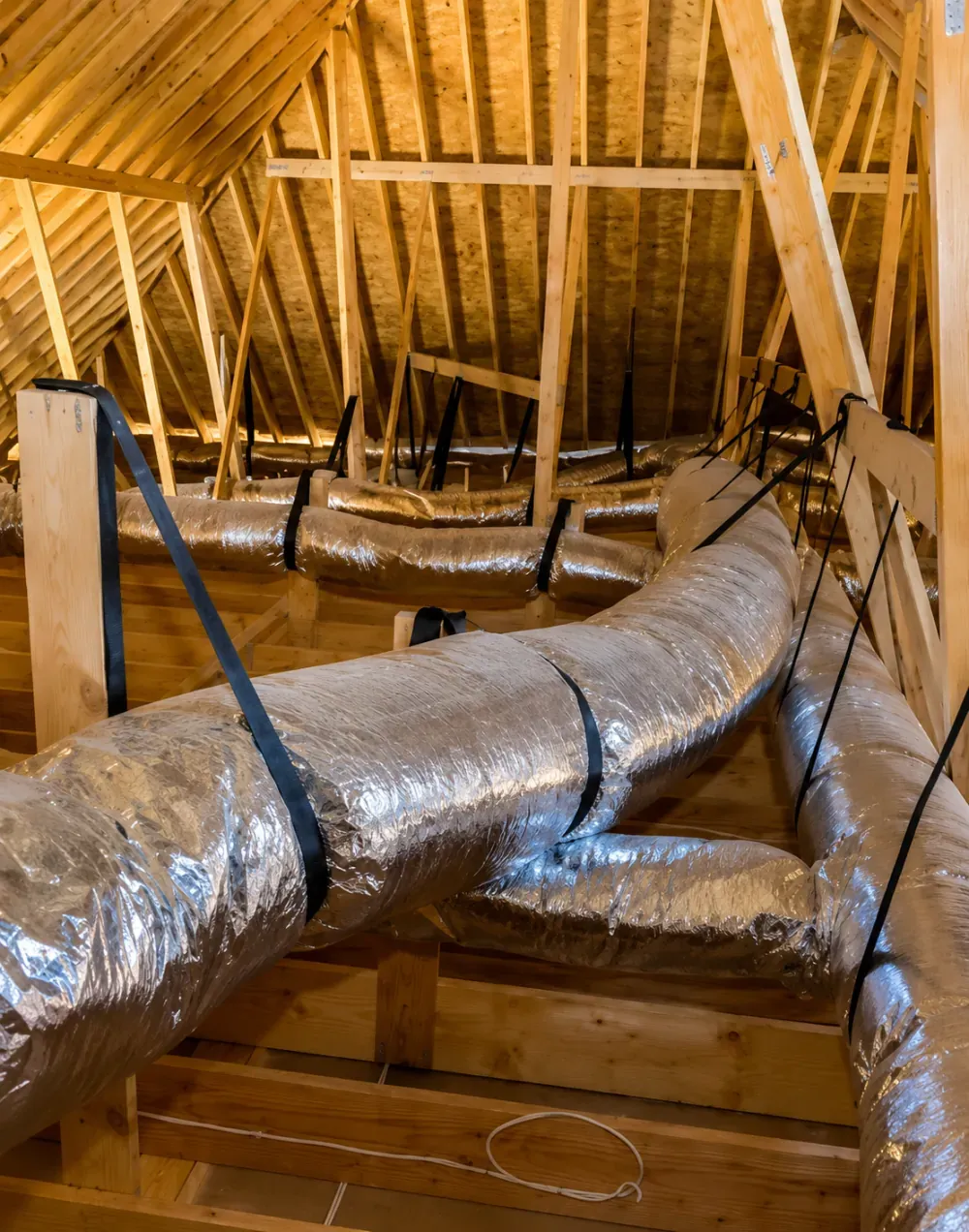 Complete attic inspection