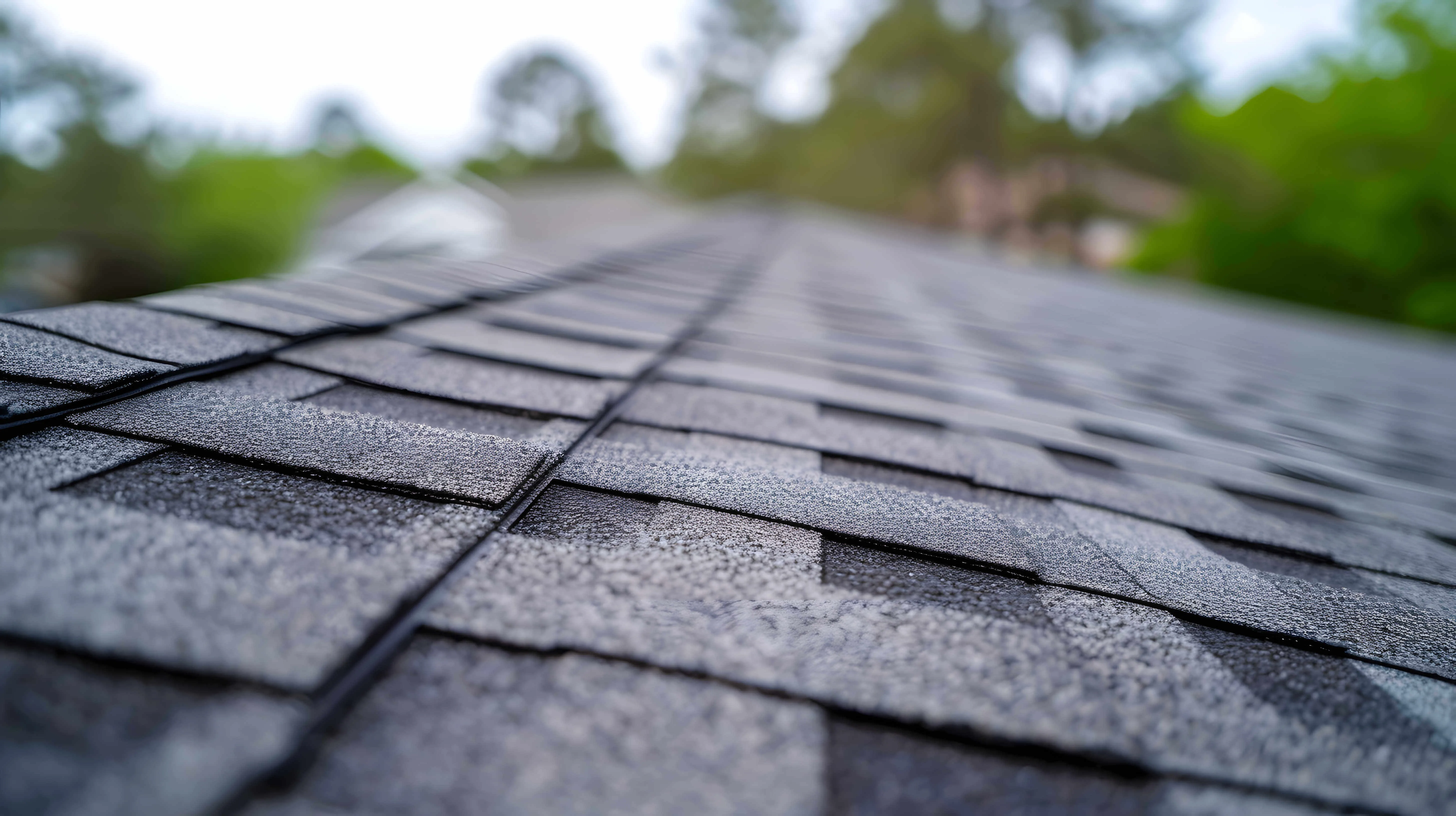 Waterproof shingle roofing protecting home from rain and moisture